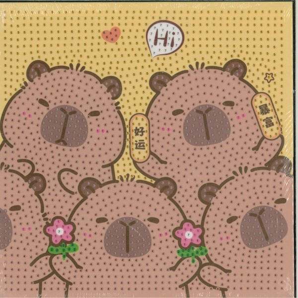 نقاشی الماسی بوم دار مربع 20×20  طرح  کاپی بارا