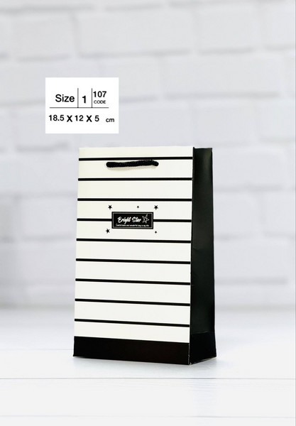 ساک هدیه عمودی اندازه 39×24×10 سایز 3  کد 2 استار گیفت