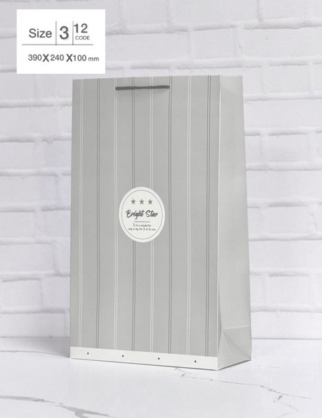 ساک هدیه عمودی اندازه 39×24×10 سایز 3  کد 12 استار گیفت