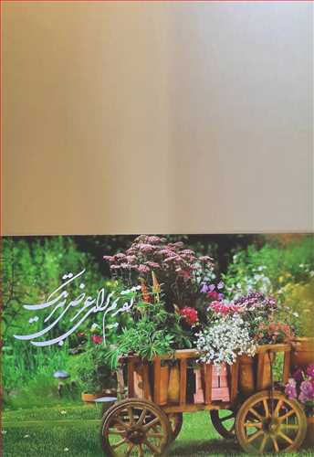 کارت تبریک (پستال) کد G81 سایز 14×19 (همراه با پاکت)  طرح تقدیم برای عرض تبریک (درشکه گل) گویا