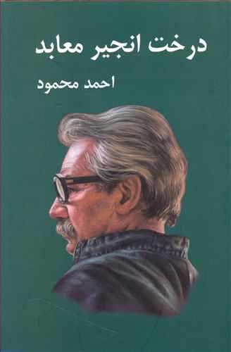 درخت انجیر معابد (اثر احمد محمود) (2جلدی،شومیز) (معین)